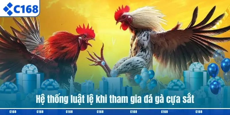 Hệ thống luật lệ khi tham gia đá gà cựa sắt